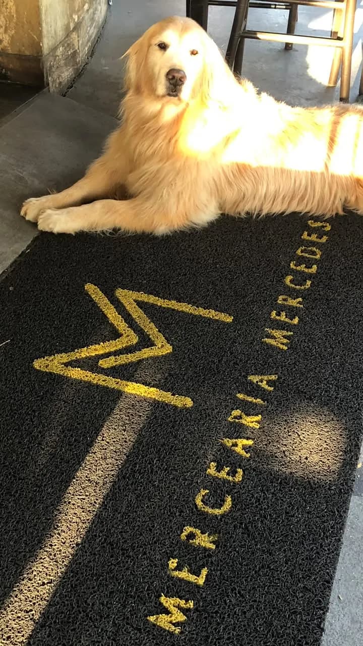 Ambiente Pet Friendly